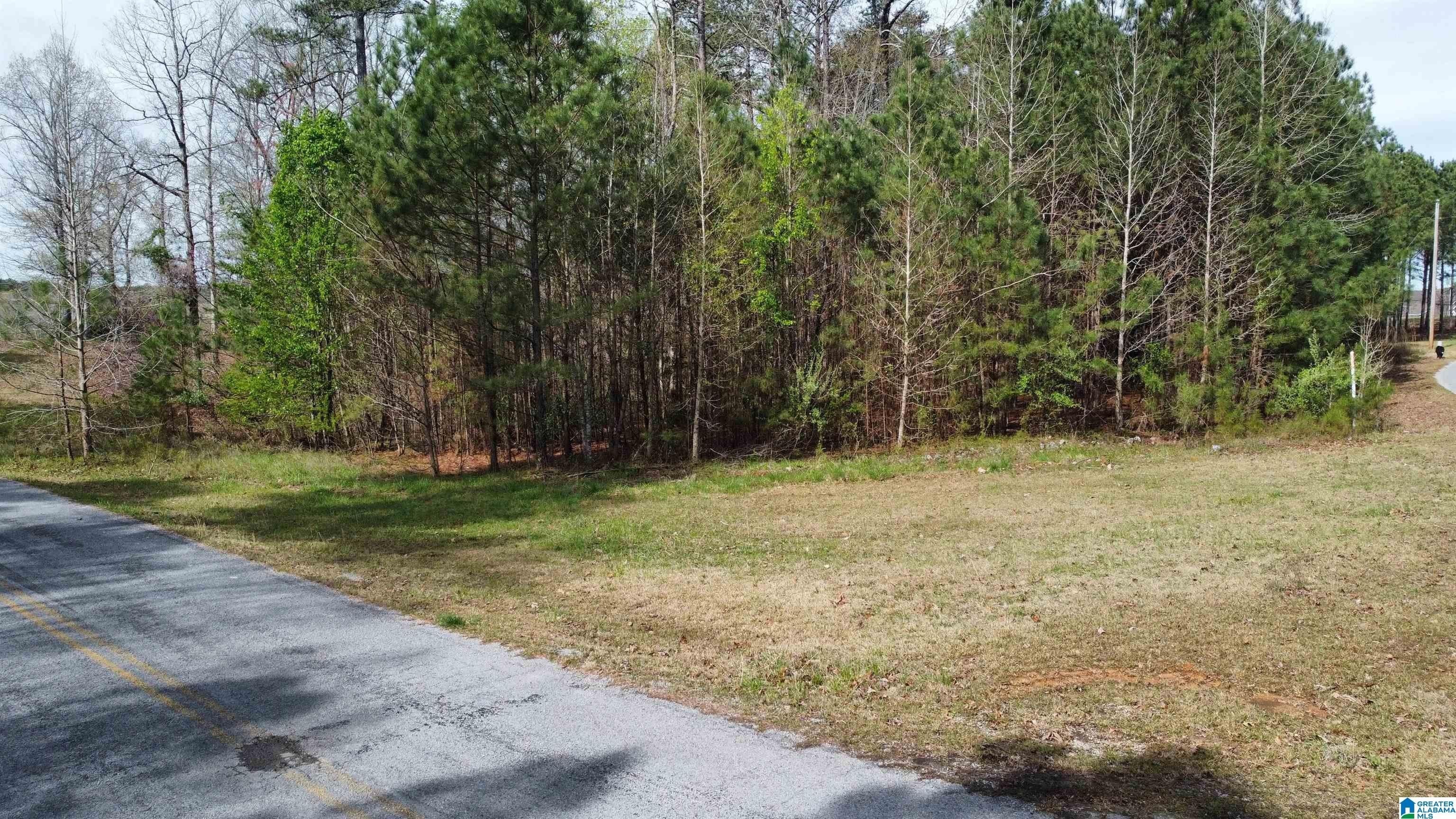 10. Lot 55 South Pointe Drive