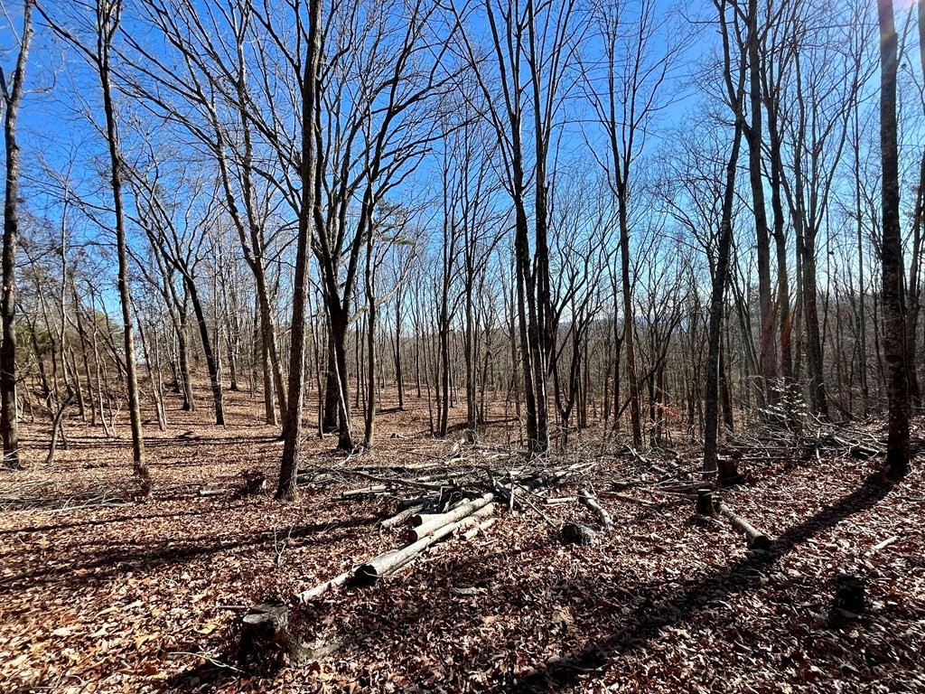 13. 5ac Mary Brown Ln.