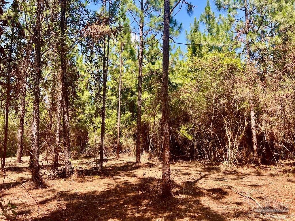 11. Lot 44 Nature Walk Rd