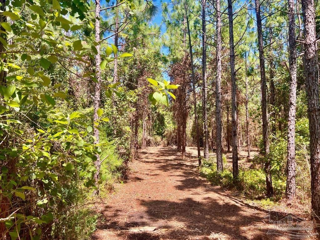 5. Lot 44 Nature Walk Rd