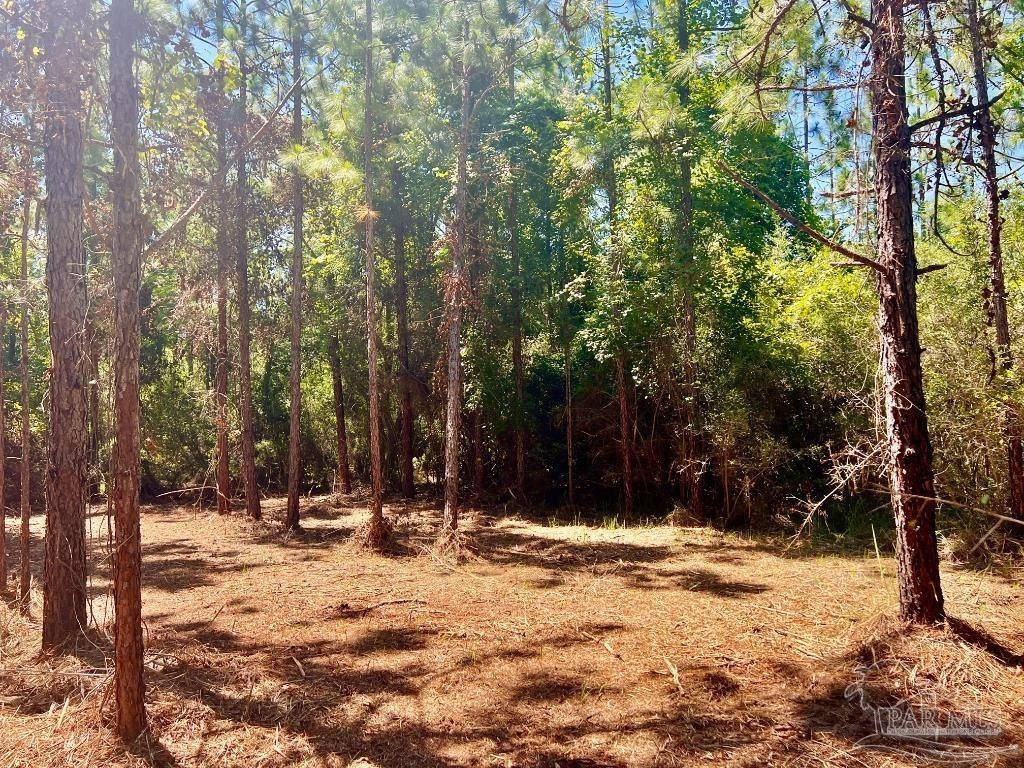 8. Lot 44 Nature Walk Rd