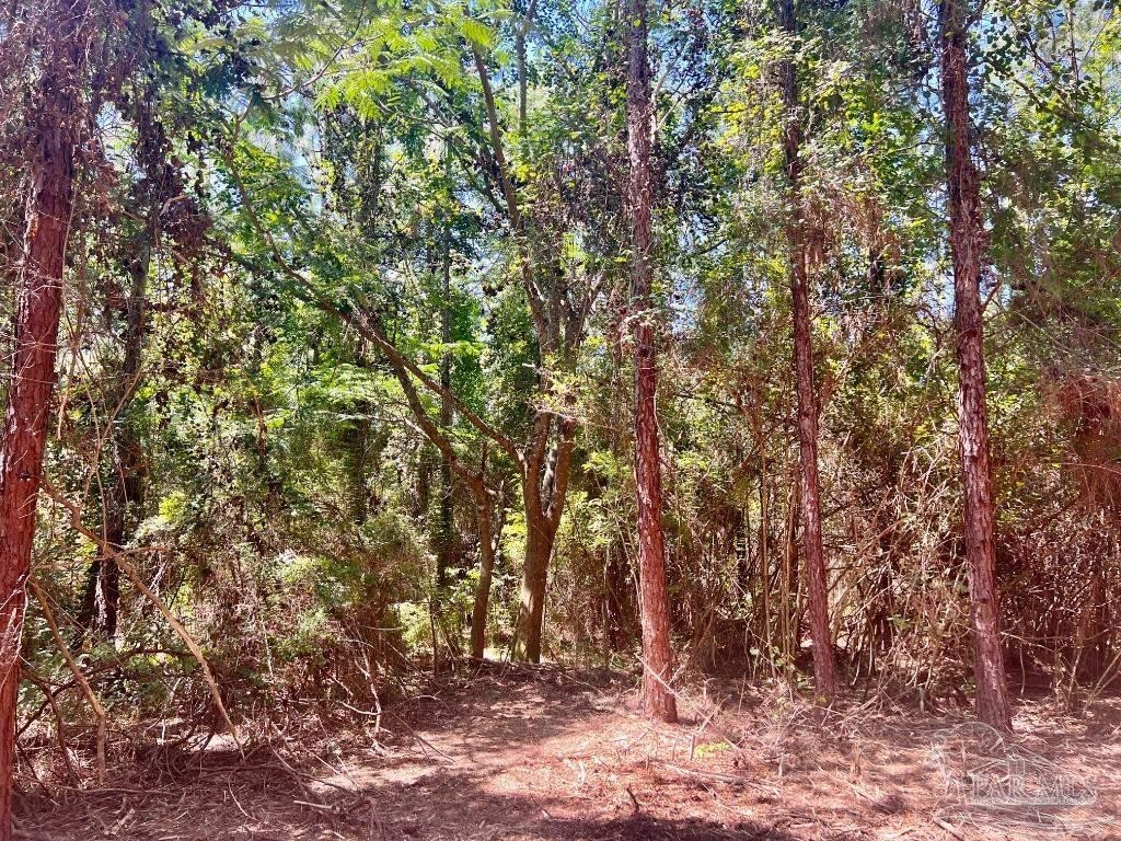 12. Lot 44 Nature Walk Rd