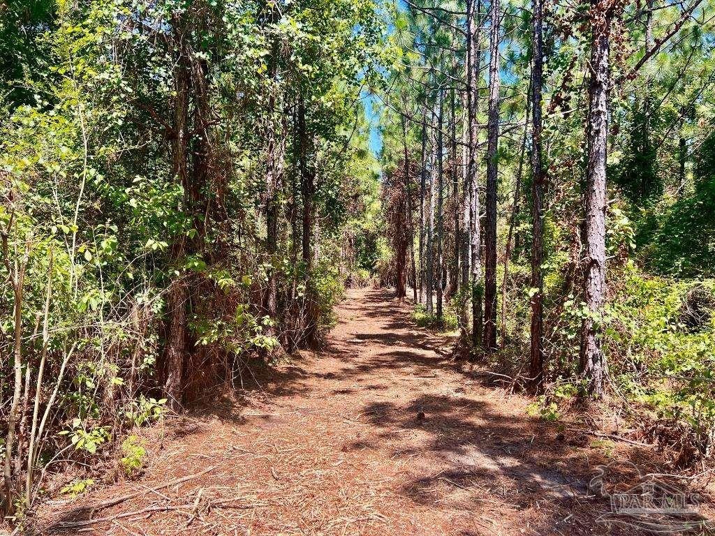 4. Lot 44 Nature Walk Rd