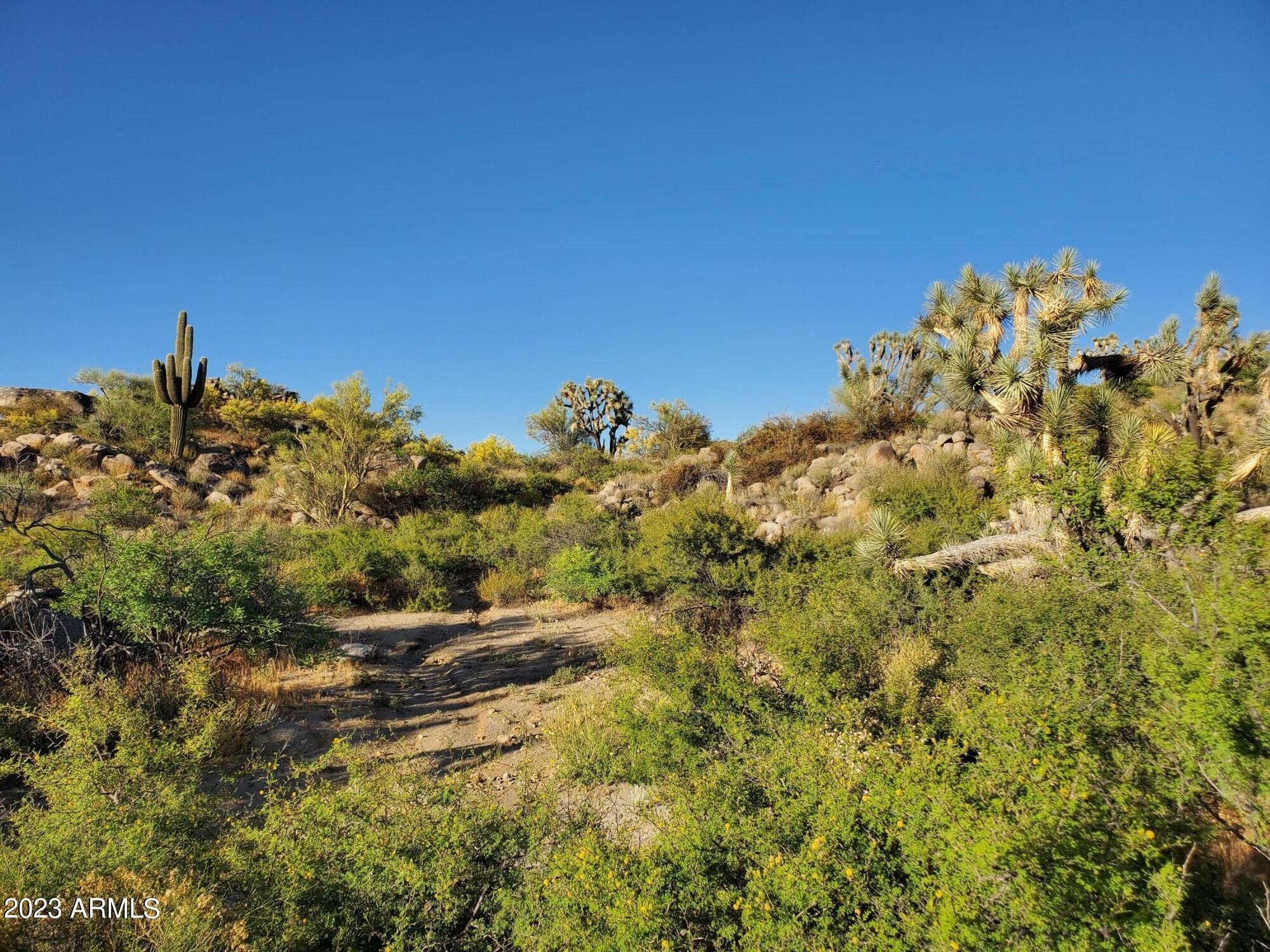 5. 000xxx Date Creek Ranch Road