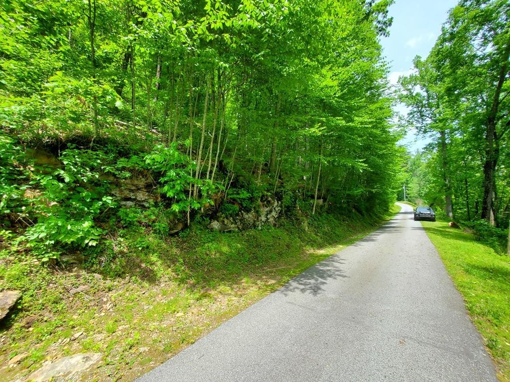 1. Lot 14 South Woods Mountain Trail
