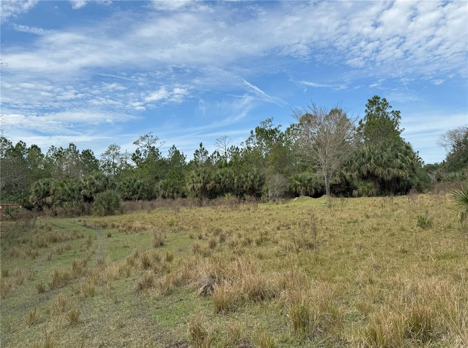 4. Tomoka Farms Rd