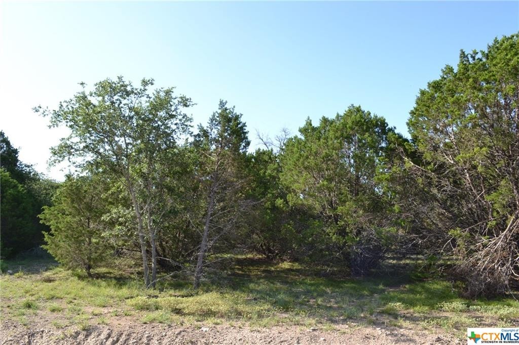 1. Block 7, Lot 18 Lampasas River Place Phase Two
