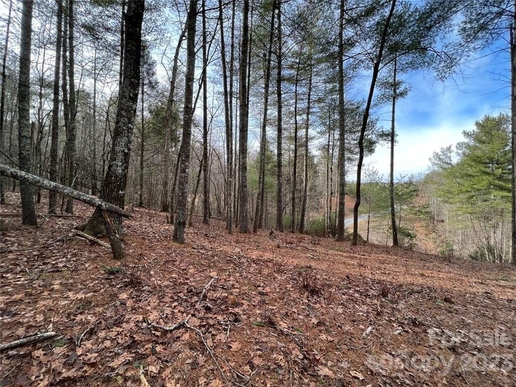 2. 3.16 Acres Lot 77 Round Mountain Parkway