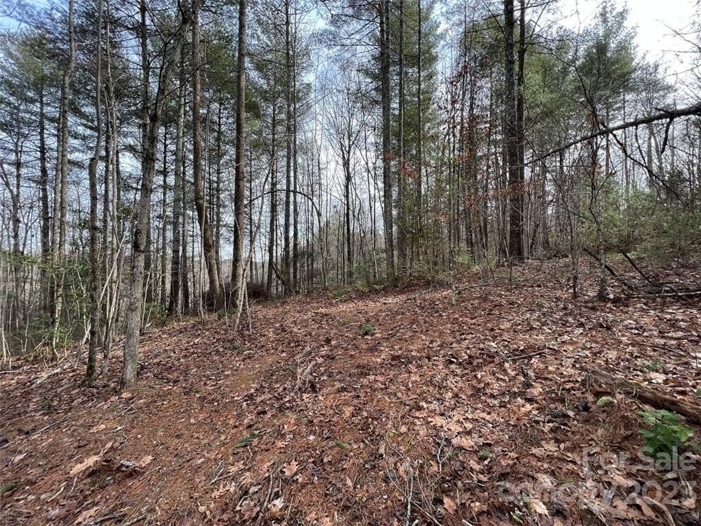 5. 3.16 Acres Lot 77 Round Mountain Parkway