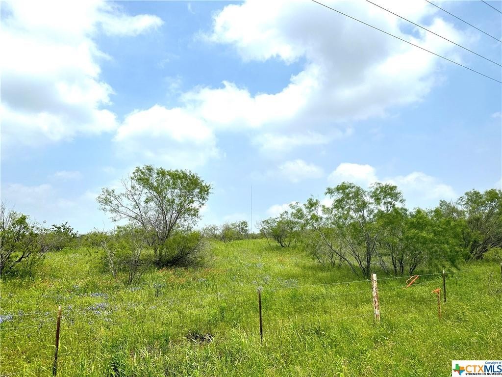 21. 15 Ac Tract 3 Spring Valley Rd Drive