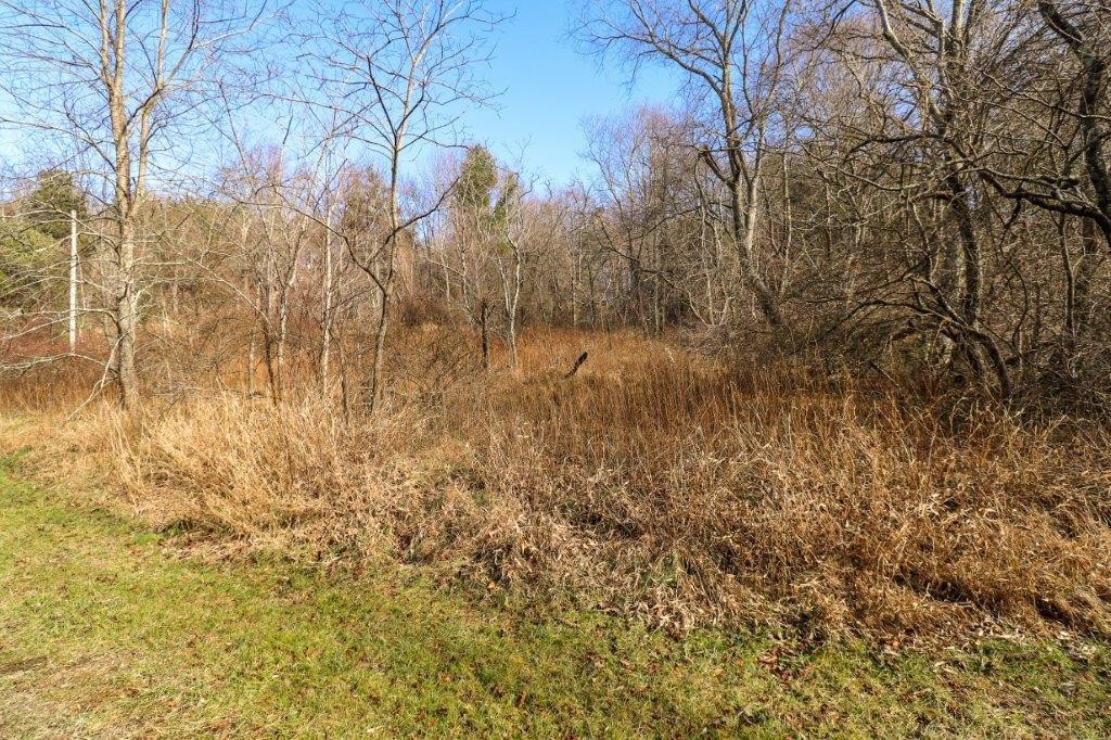 2. Lot 139 Old Hollow Trail