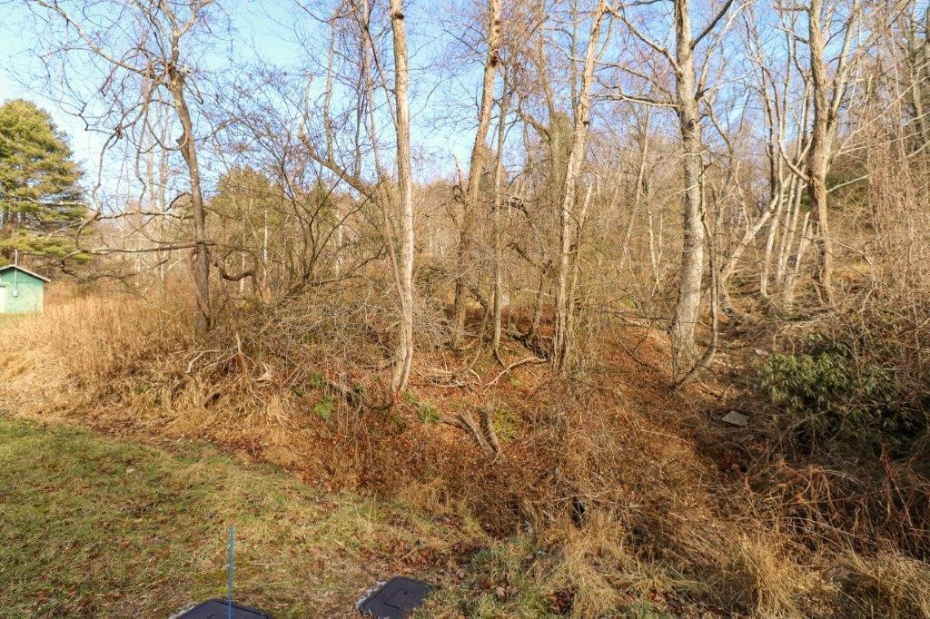 12. Lot 139 Old Hollow Trail