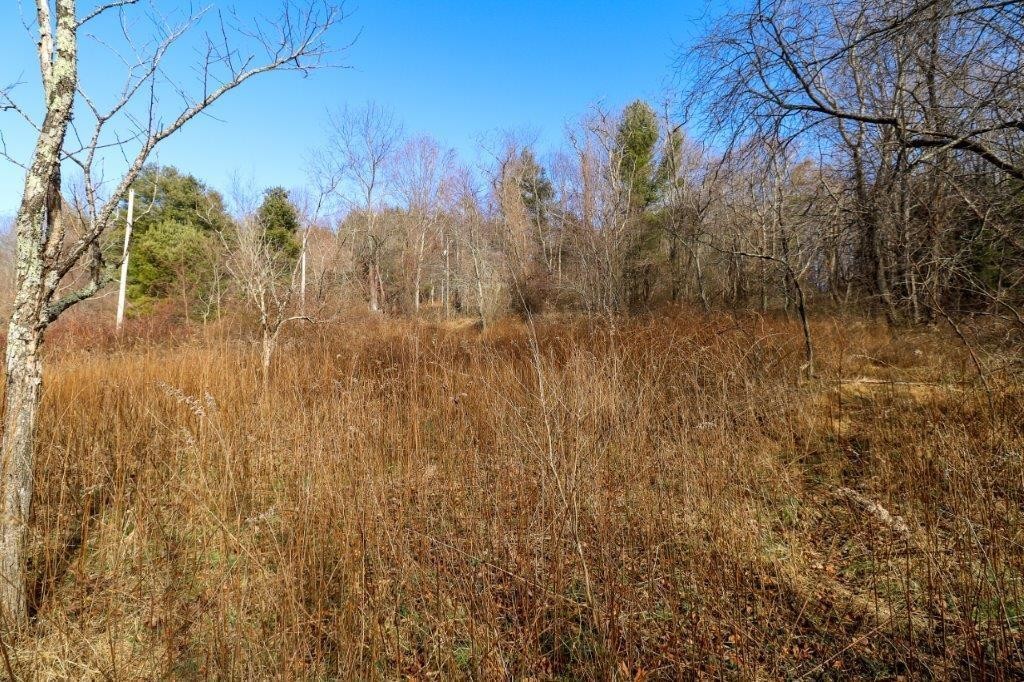 1. Lot 139 Old Hollow Trail