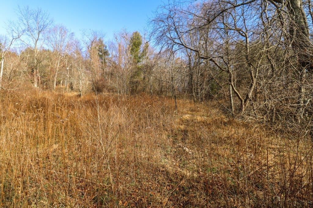 7. Lot 139 Old Hollow Trail