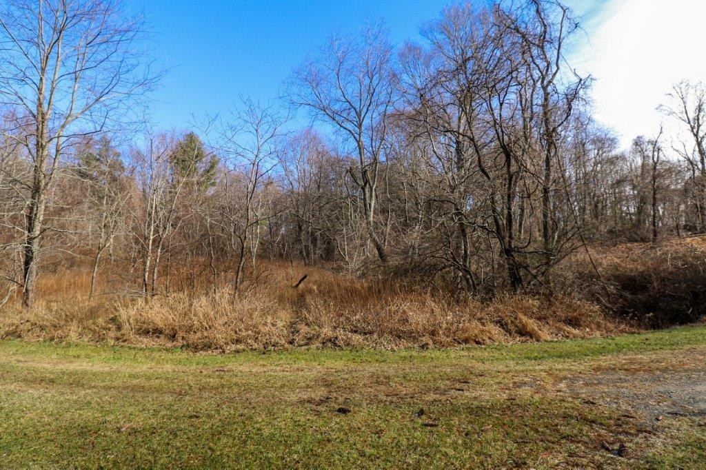 3. Lot 139 Old Hollow Trail