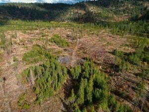 7. 4684 Lot F Grouse Creek Rd