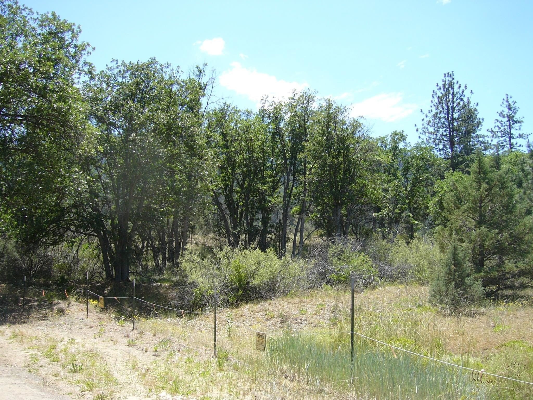 21. 4 Acres End Of Sturgis Rd