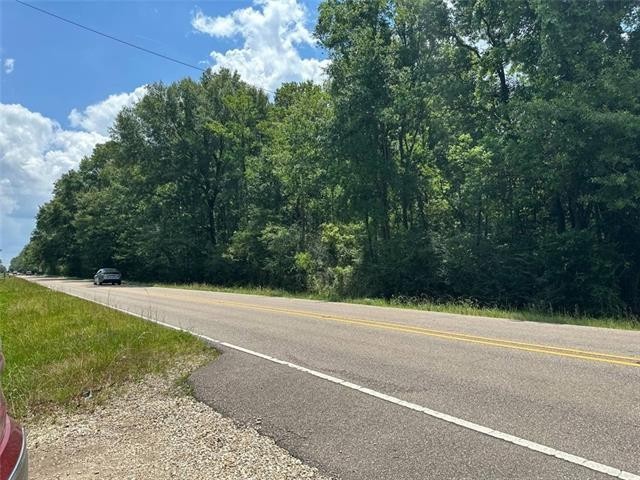 9. 3 Acre Tract Old Covington Highway