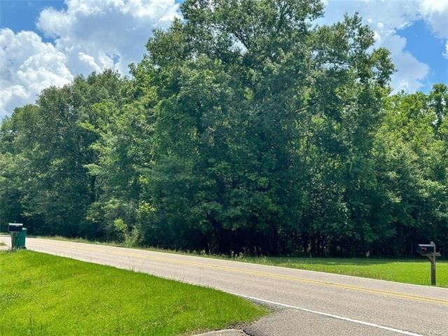 1. 3 Acre Tract Old Covington Highway