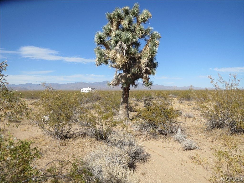 1. 19157 S Doc Holliday Road