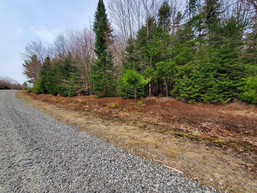 11. Lot 4 Daigneau Trail