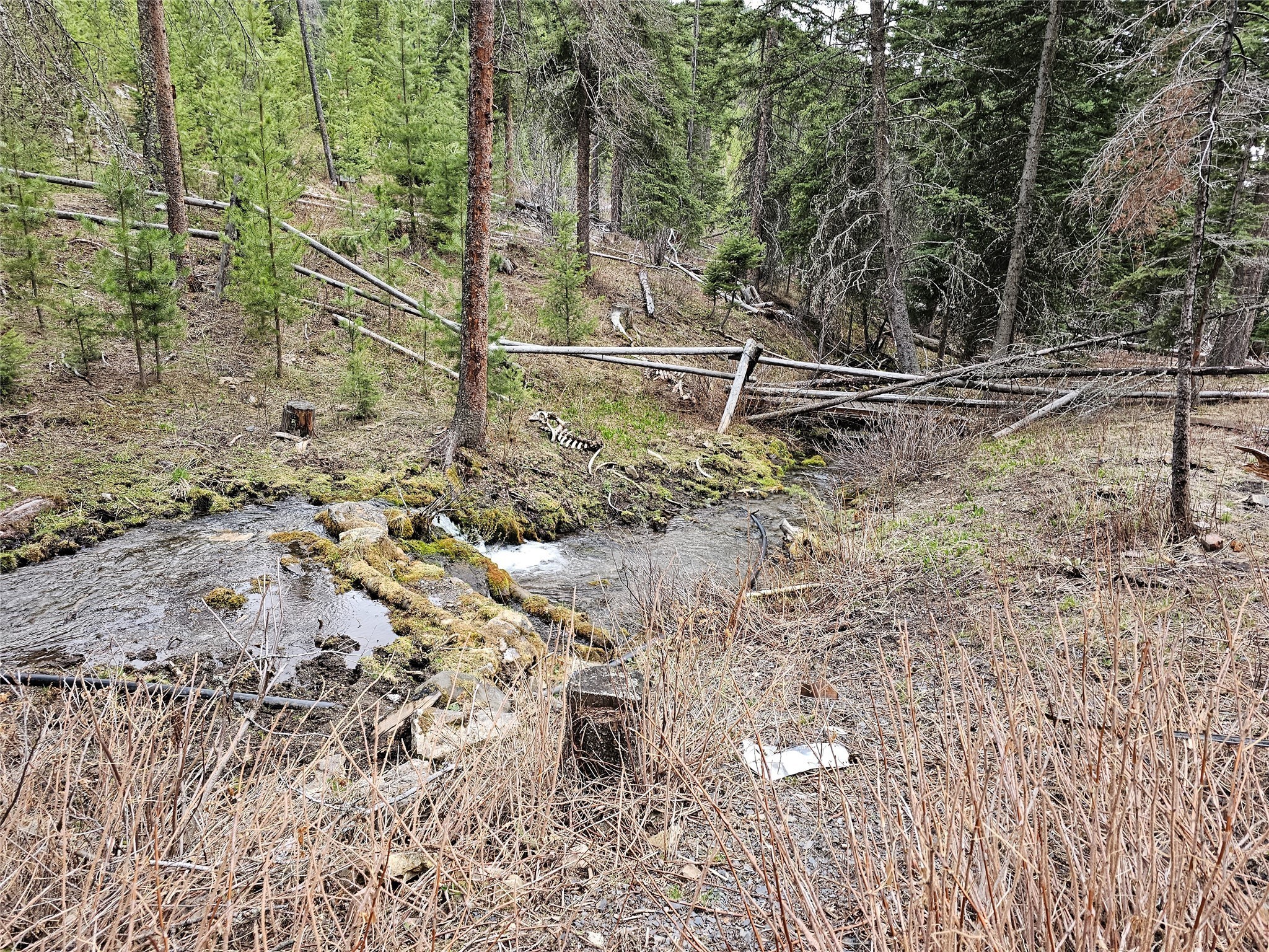 2. 122 Middle Fork Douglas Creek