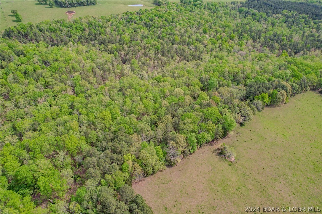 9. 35.98 Acres Shipp Drive