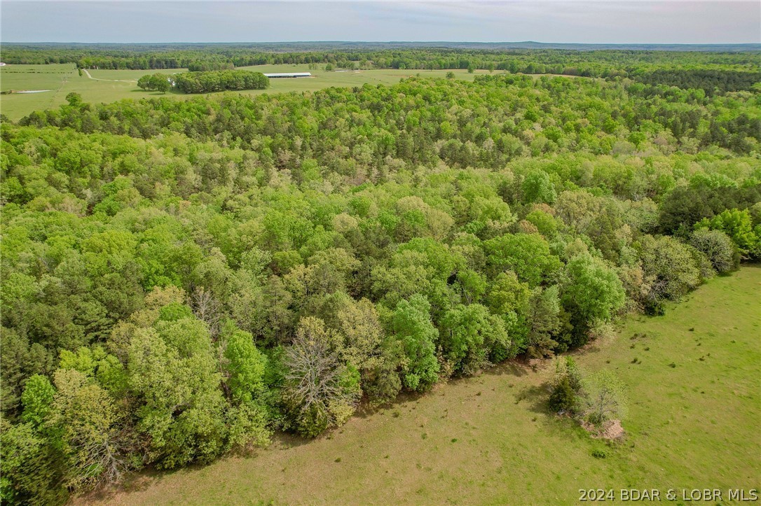 28. 35.98 Acres Shipp Drive