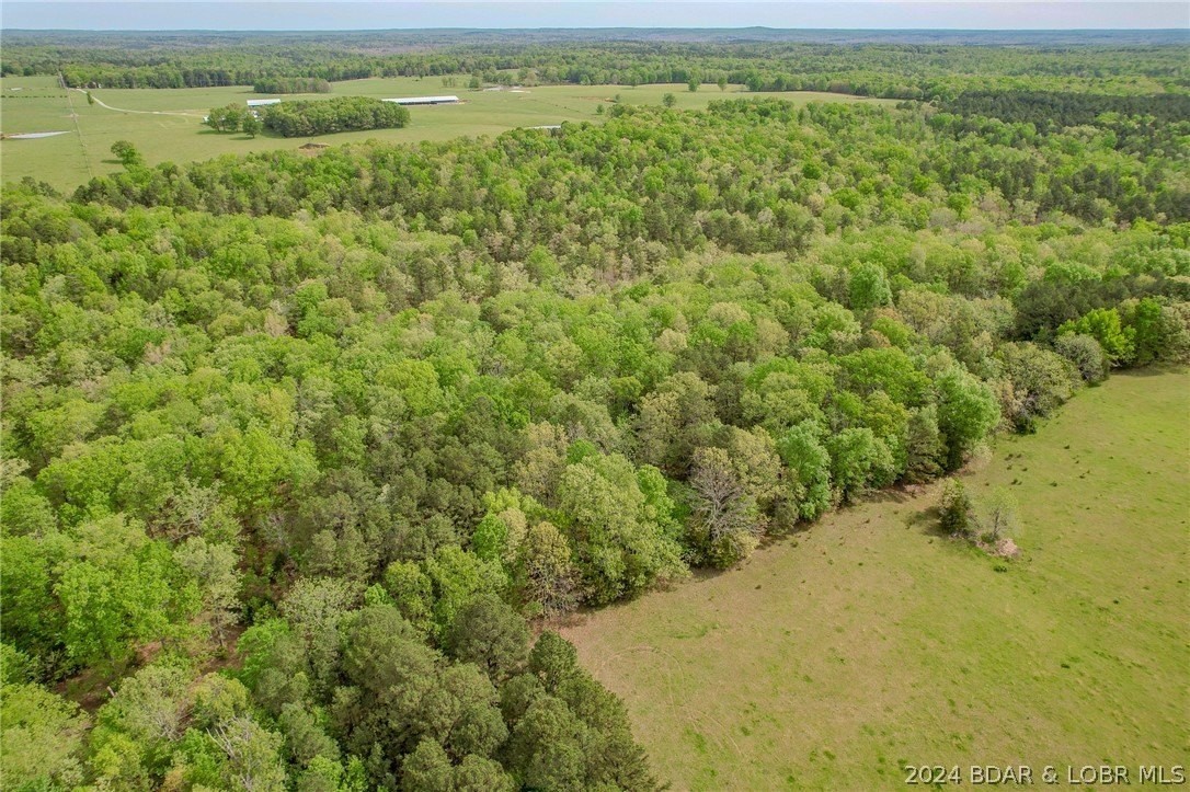 18. 35.98 Acres Shipp Drive