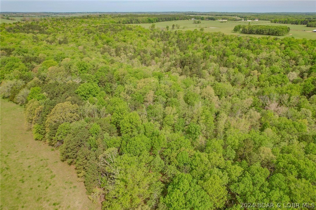 30. 35.98 Acres Shipp Drive