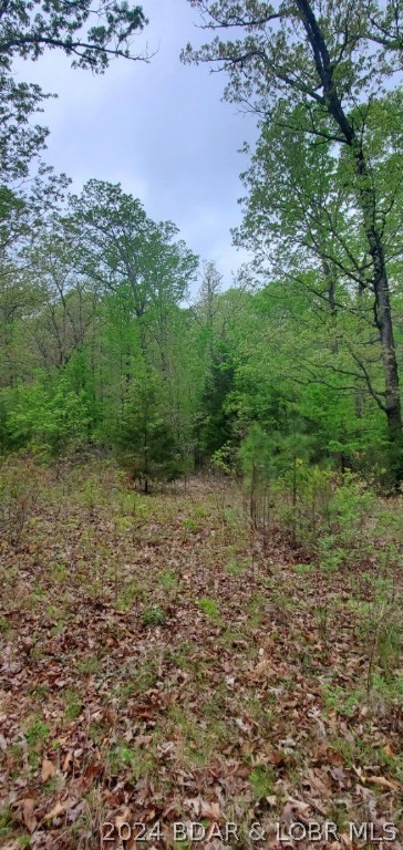 22. 35.98 Acres Shipp Drive