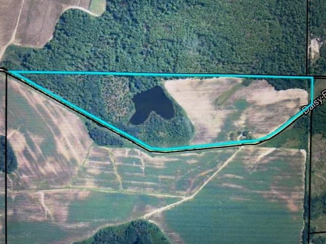 1. 295 Daisy Rd       (41.85 Acres With Pond)