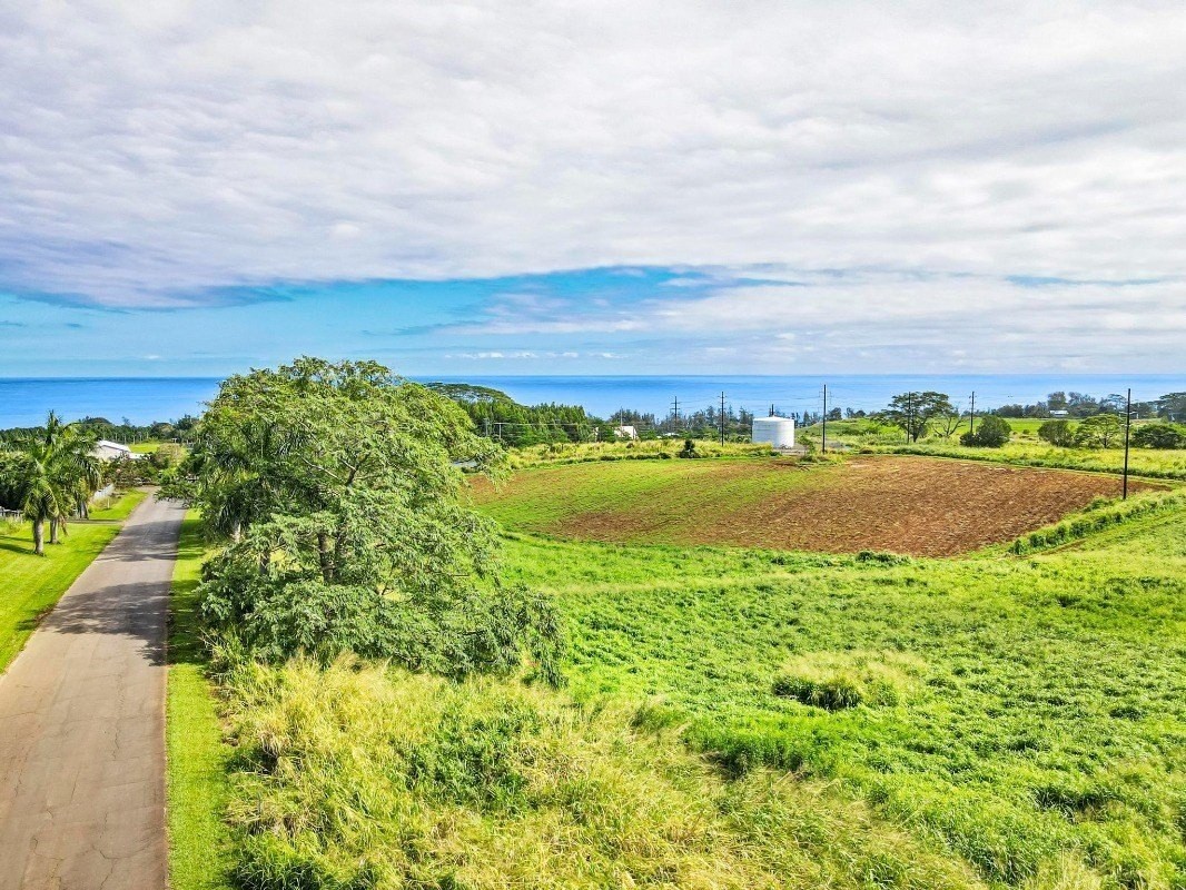 28. Orchards At Pepeekeo