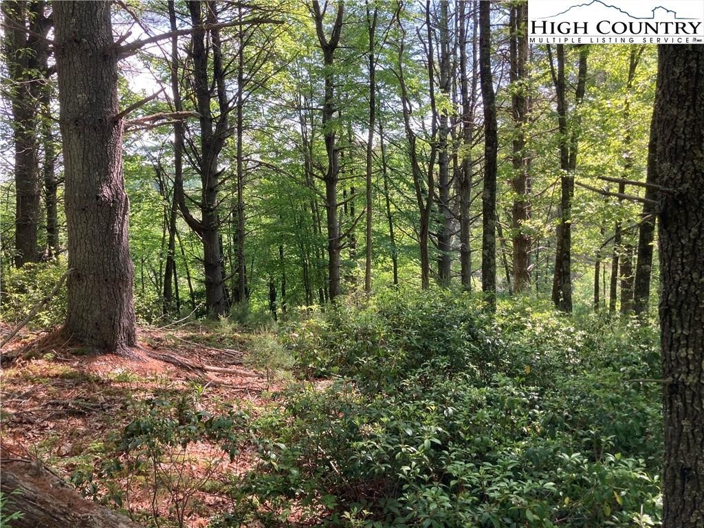 4. Tbd Lot 49 Brightwater Trail