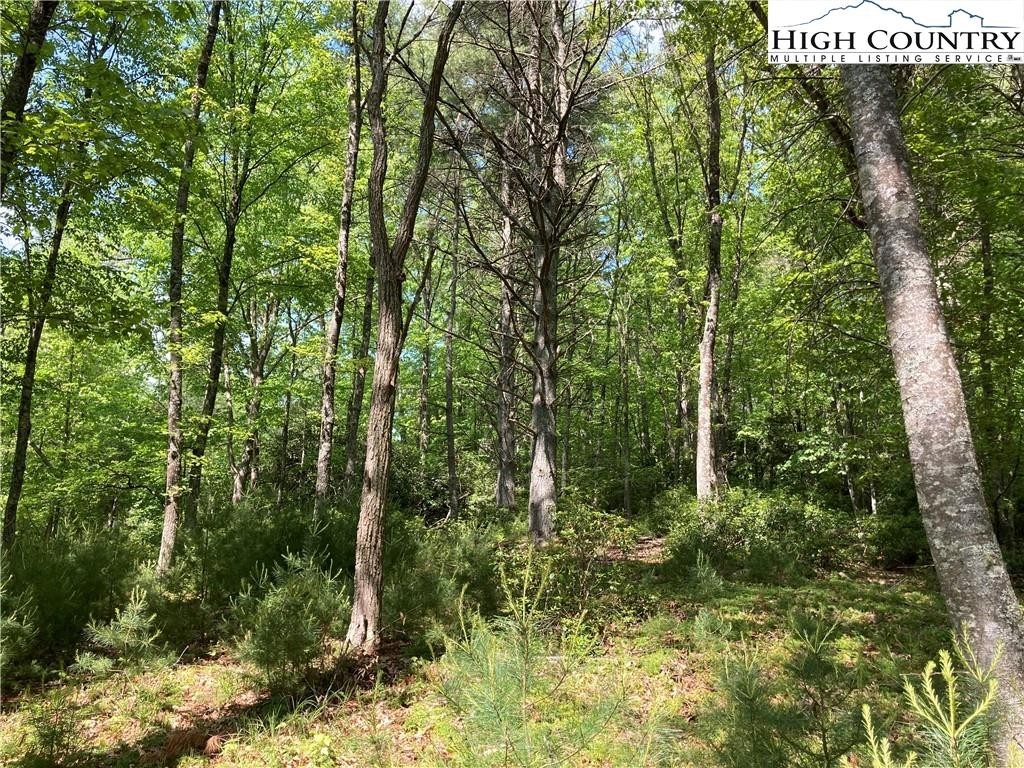 12. Tbd Lot 49 Brightwater Trail