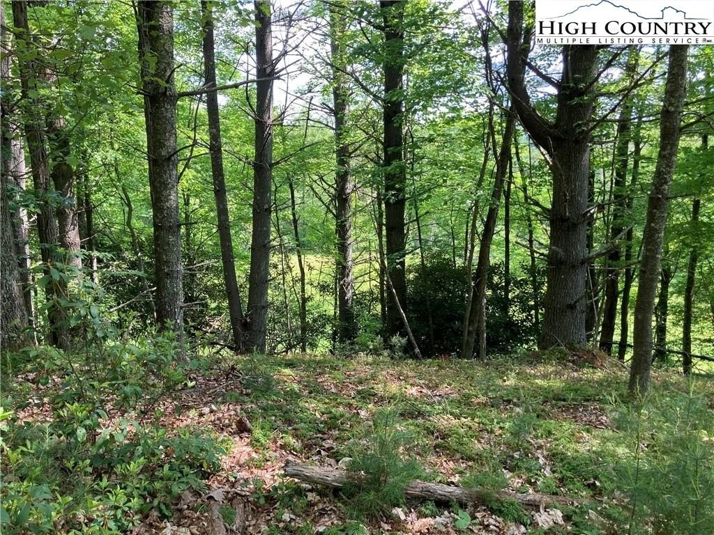 5. Tbd Lot 49 Brightwater Trail