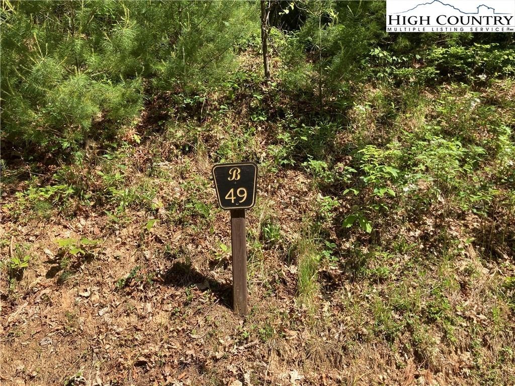 1. Tbd Lot 49 Brightwater Trail