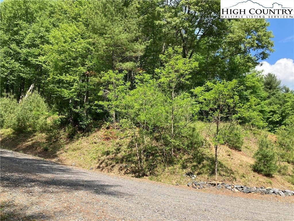 11. Tbd Lot 49 Brightwater Trail