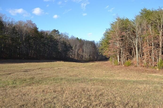 1. 52.63 Ac Dividing Ridge Road