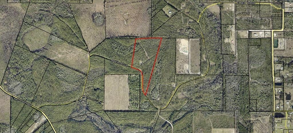 2. 20 Ac Brier Patch Lane