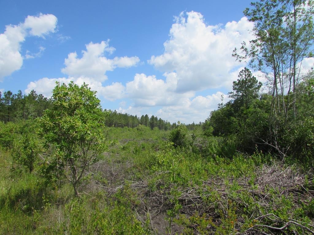 1. 20 Ac Brier Patch Lane