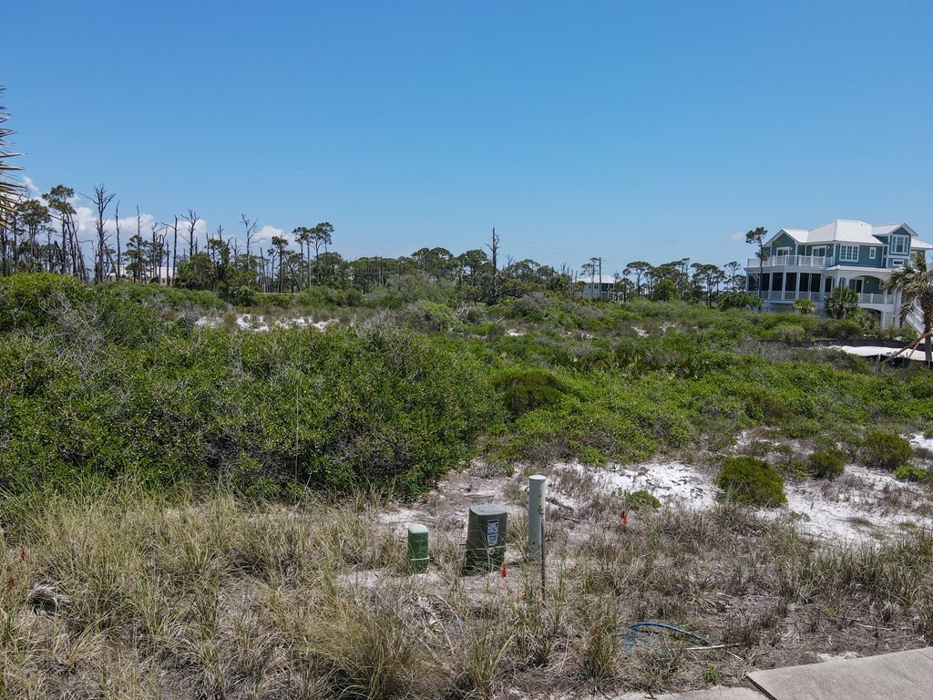 10. Lot 21 Gulf Hibiscus Dr