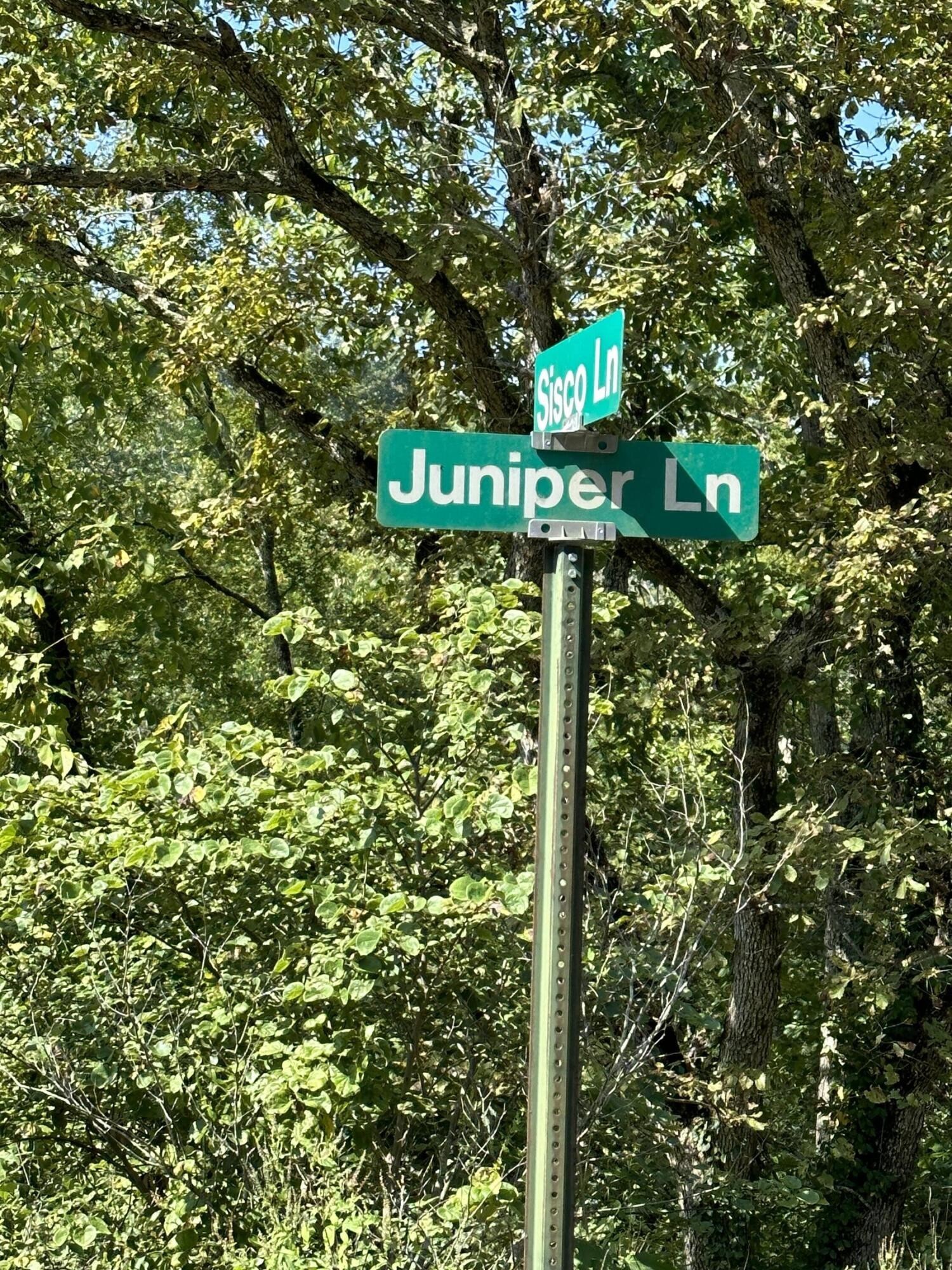 7. 000 Juniper Lane