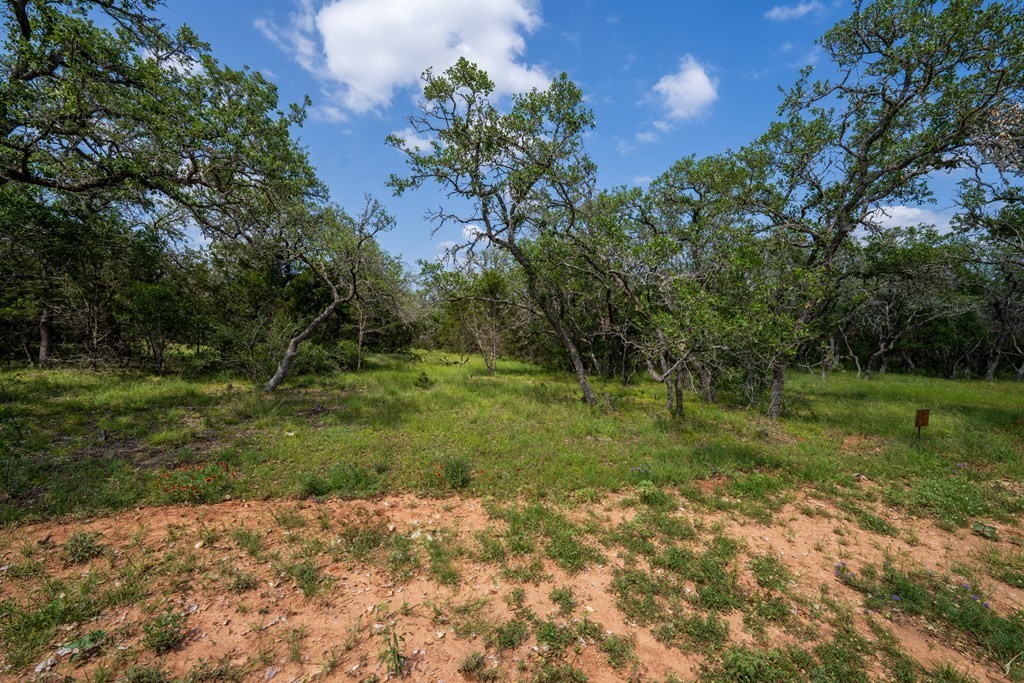 12. Lot 3 Ranch Rd 1323