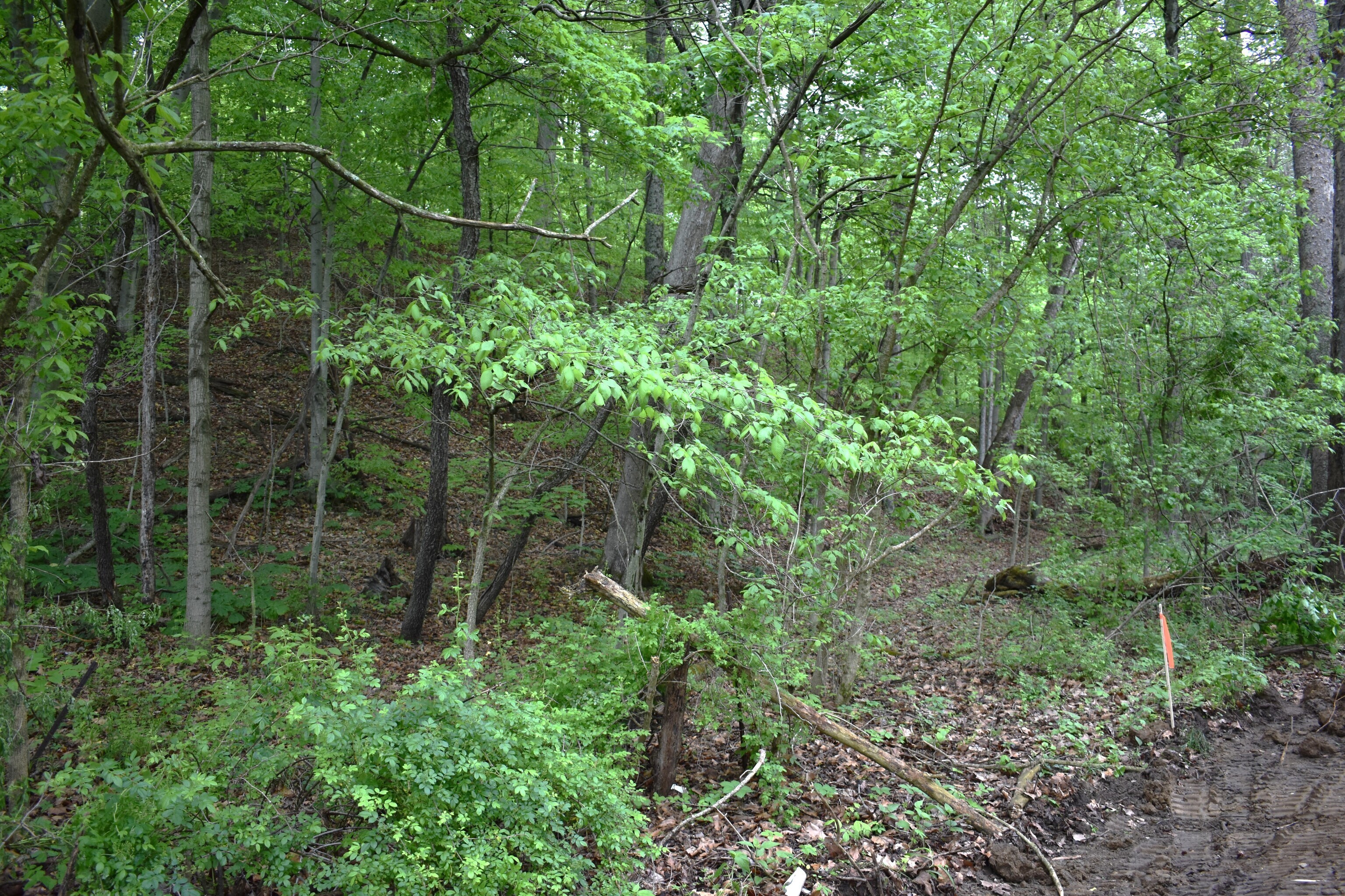 2. Lot 1- Goat Hollow Estates Road