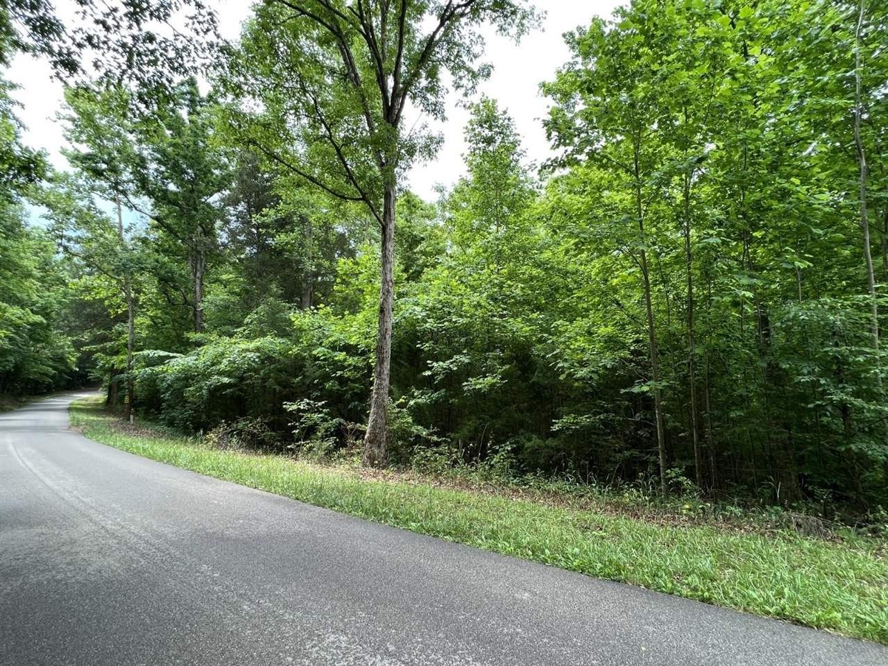 2. 41â± Acres Alonzo Long Hollow Road