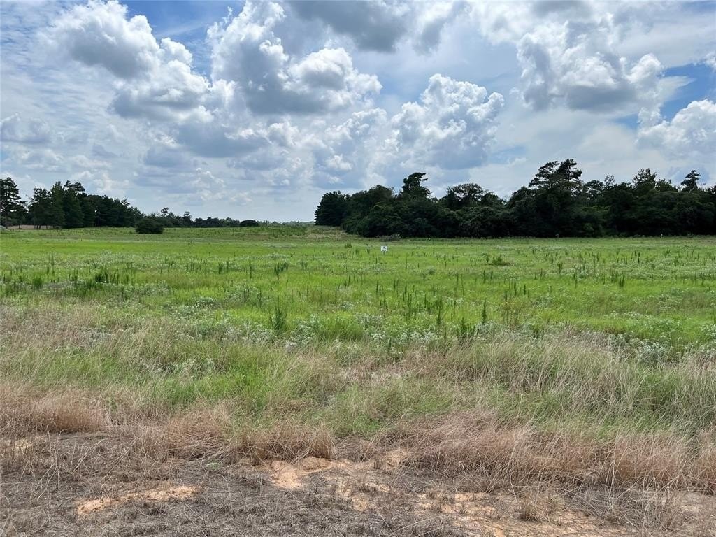 4. 10.0 Acre Lot 94 Pr 1315