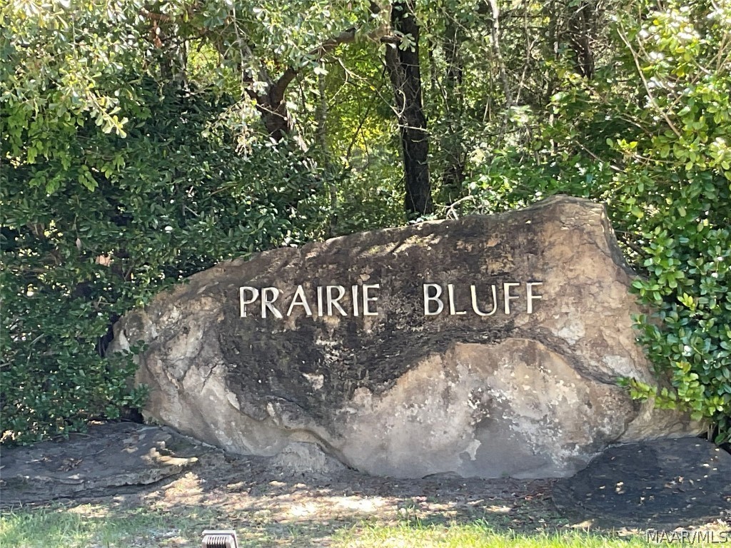16. 1 Prairie Bluff Drive