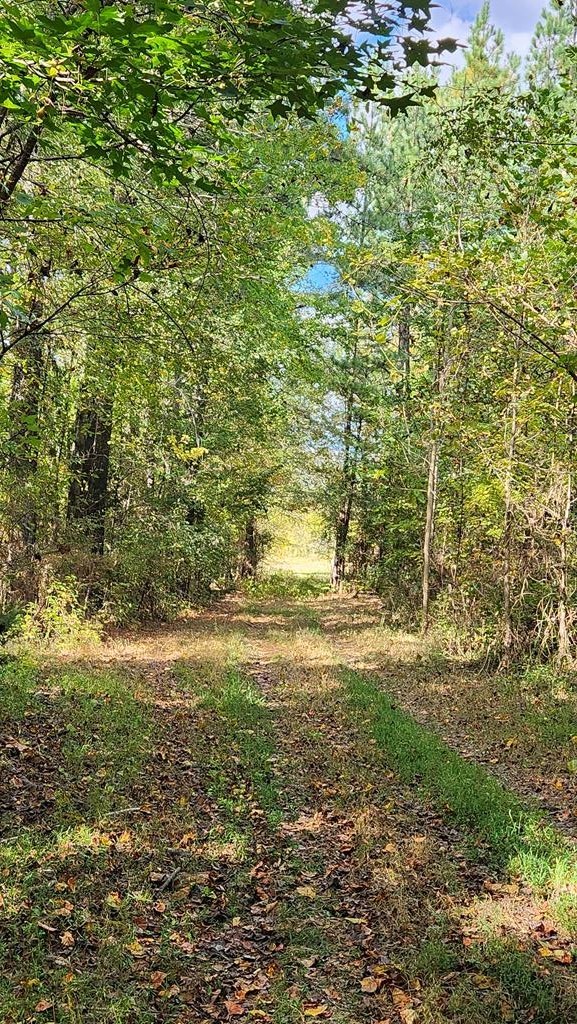 13. 72 Ac. North Whittles Mill Road