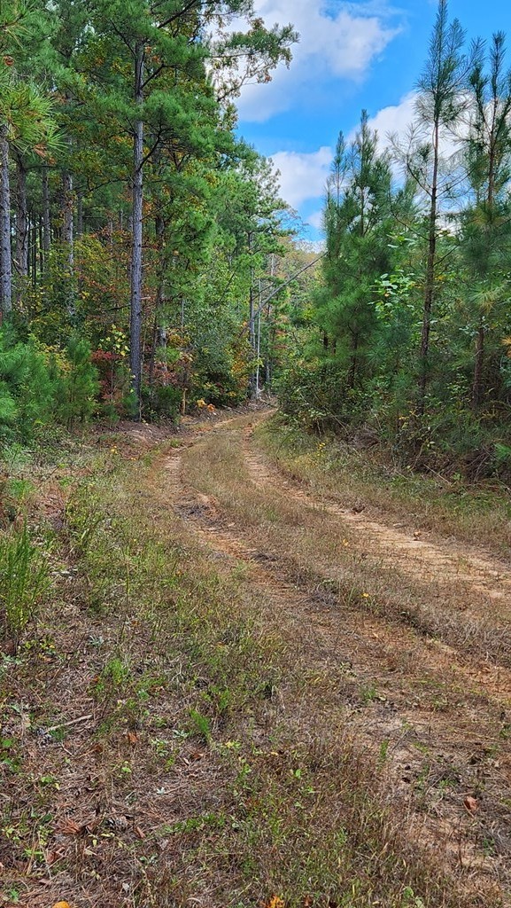 10. 72 Ac. North Whittles Mill Road